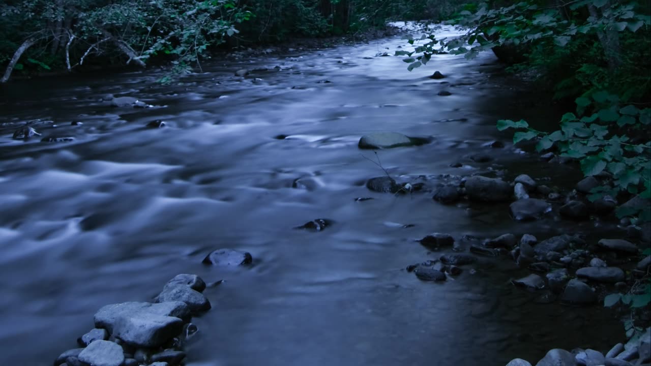 Rushing Forest River ASMR relaxing favorite v3