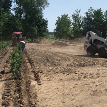 Trees Democrats will not buy. See description