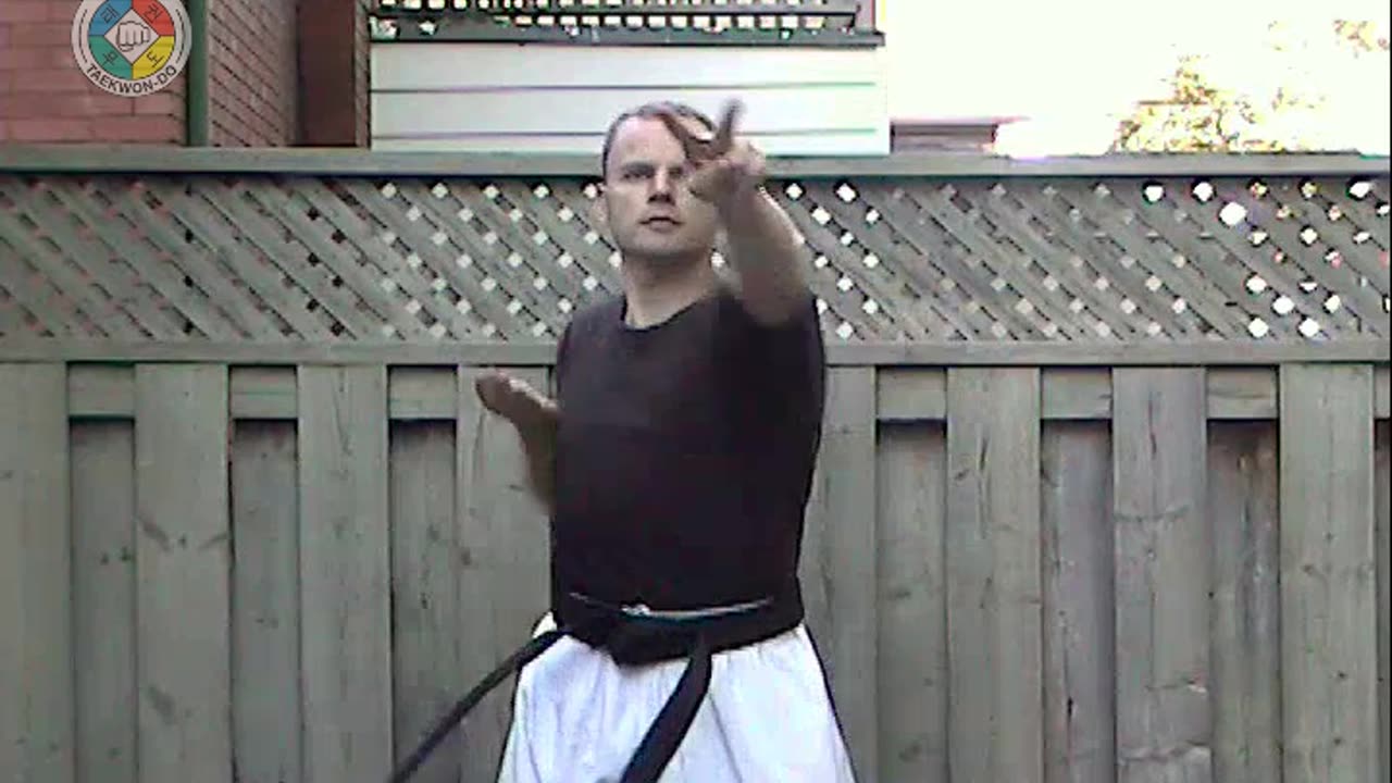 Taekwondo: Hapkido: Foundations: 2-Finger-strike-front-view