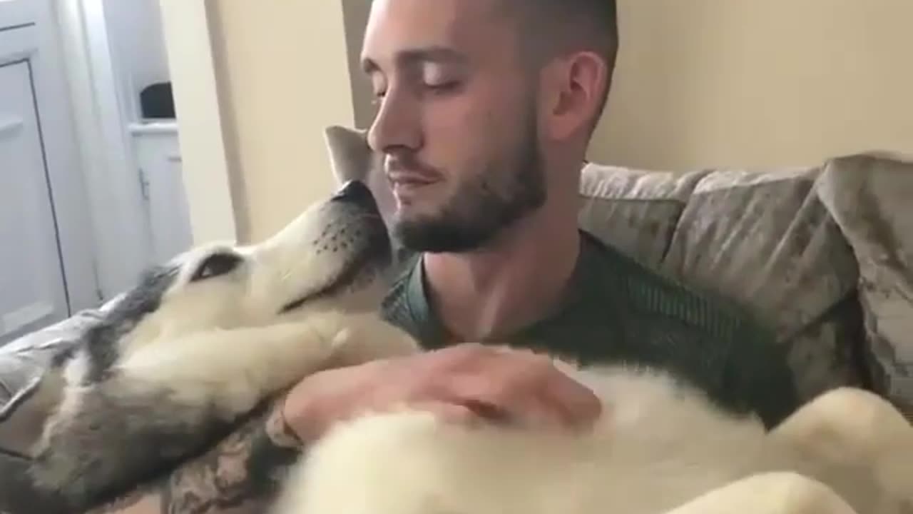 funny and cute animals