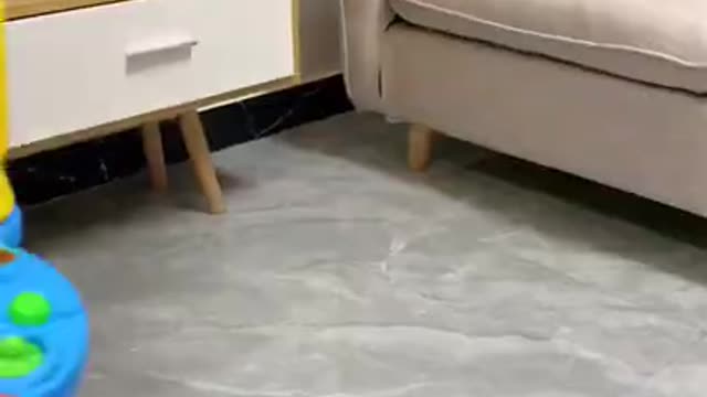 Cool Gadgets_-- Smart appliances_ Home cleaning_ Inventions for the kitchen❤️_Makeup_Beauty