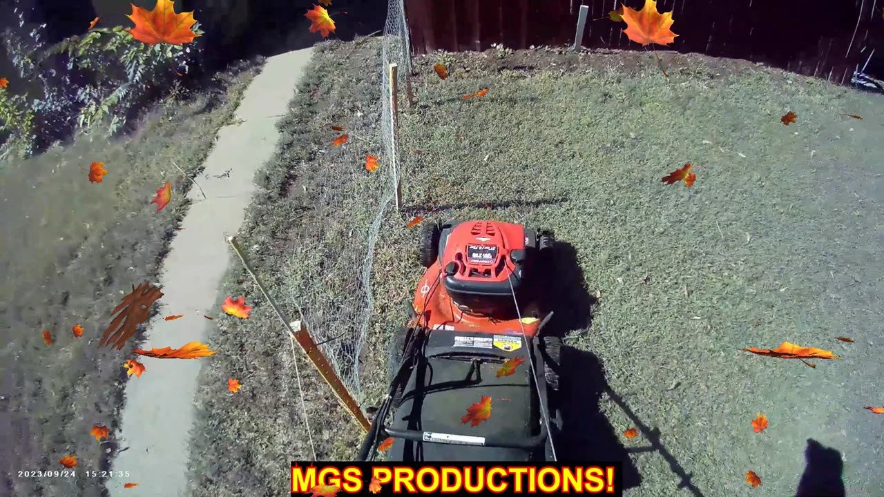 MOWING THE LAWN (WEEK 21)