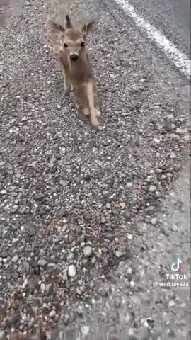 LOVE IS THE GREATEST POWER IN THE UNIVERSE