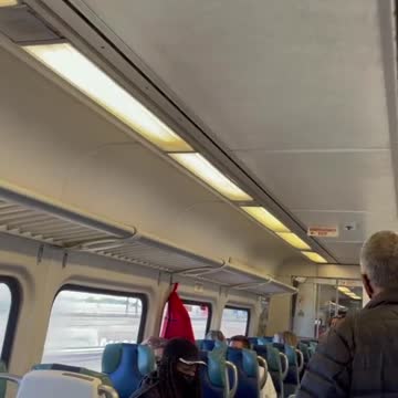 ‘Shut Up You Stupid B*tch’: Train Passengers Scream At Woman To Mask Up
