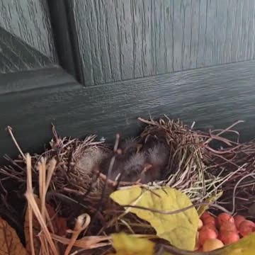 "Baby's Playtime Adventures! 🍼✨ #BabyPlay #CuteKids #ToddlerLife
