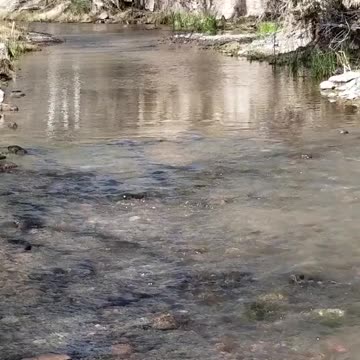RZR and ATV Riding up the creek in Safford Arizona