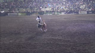 Horse show during army day in Santiago, Chile