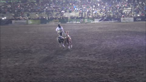Horse show during army day in Santiago, Chile
