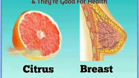 Foods that resemble the body parts and good for the health