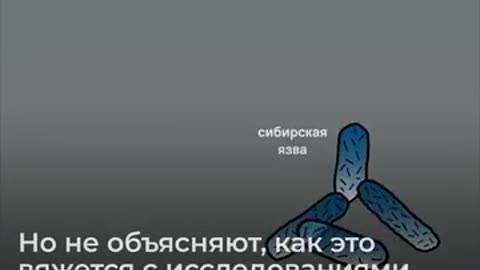 Gründe des Einmarsches Russlands in der Ukraine: Biolabore