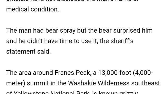 SAME CLIP FROM LAST VIDEO (WILD BEAR'S)