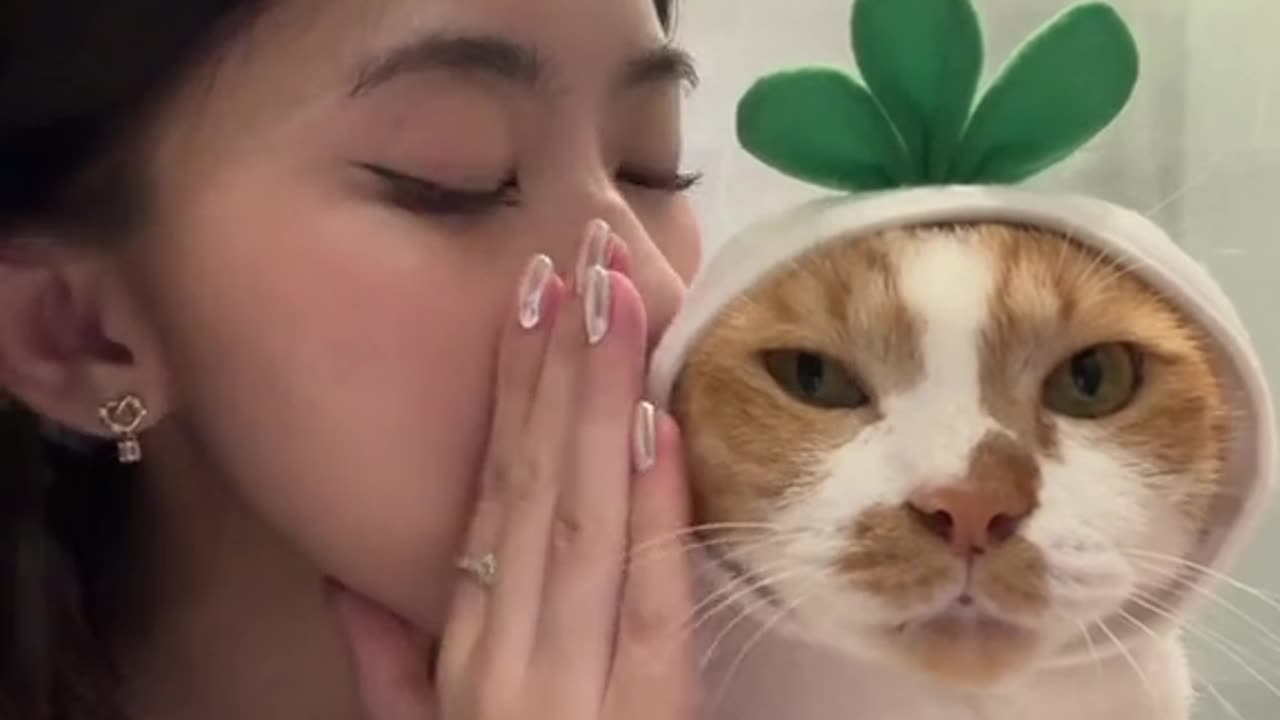 hehe #cat