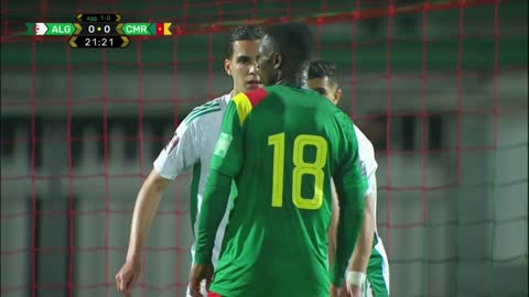 هدف الكاميرون