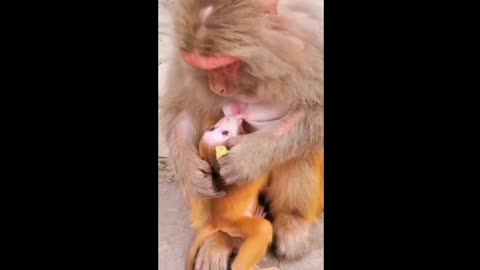 Sweet ❤️ mom love 😘