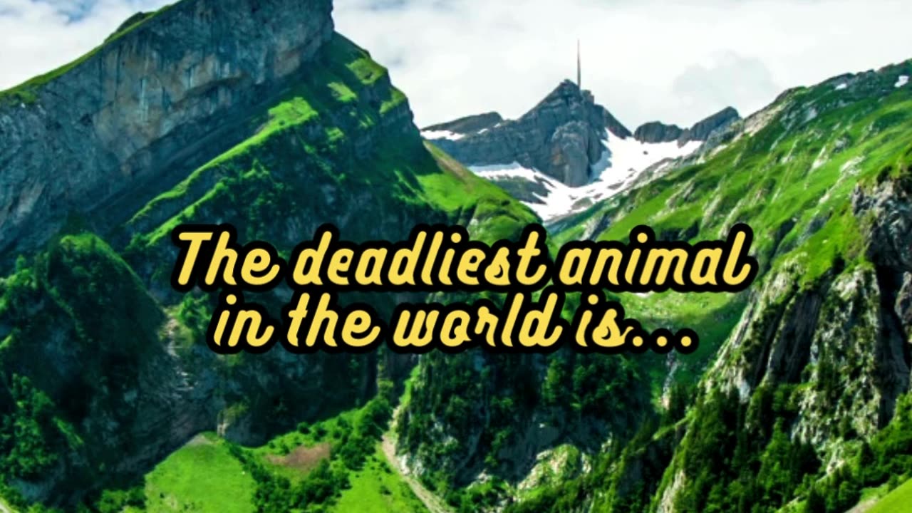 Animal Facts Deadliest Animal #shorts