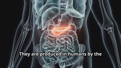 Spike Protein Detox - Natural Inhibitors