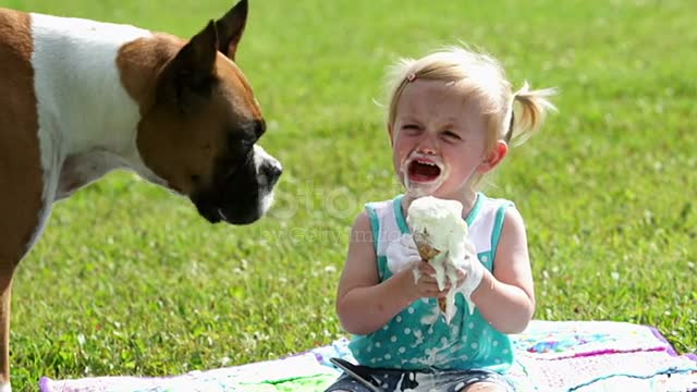 Dog eating icecream