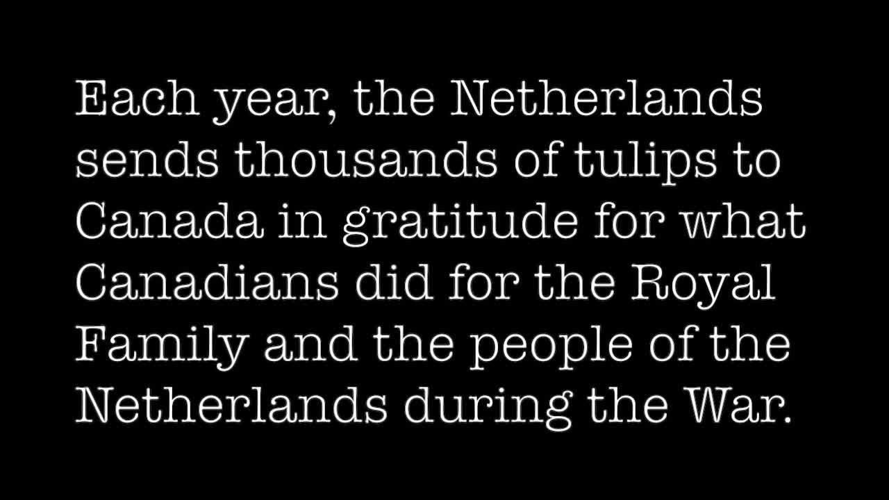 Tie that binds: Canada and the Netherlands