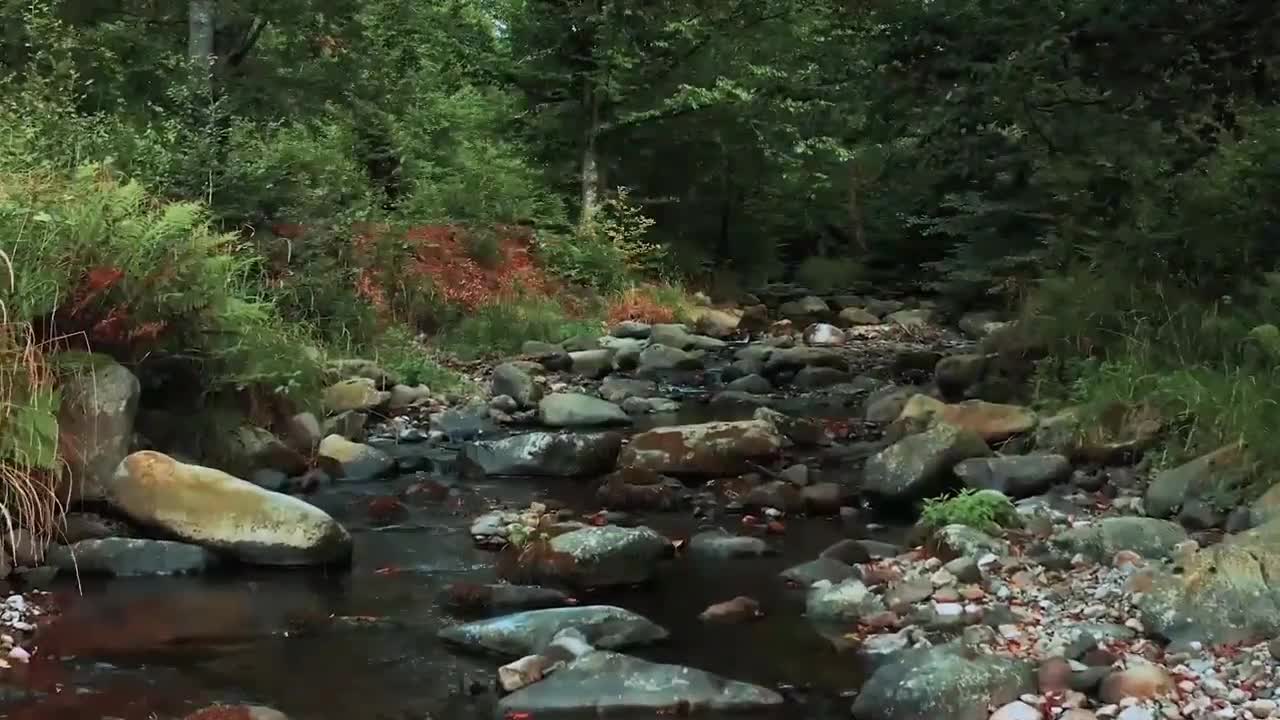 RELAXING BEAUTY OF NATURE| DRONE FOOTAGE