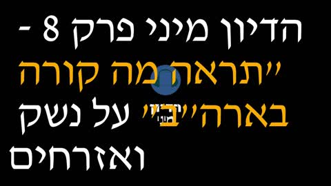 הדיון מיני פרק 8 - "תראה מה קורה בארה''ב" על נשק ואזרחים