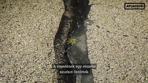 Bontják az uniós pénzből épült kalandparkot Hatvanban