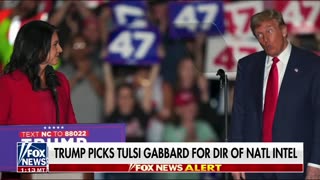 Trump picks Democrat-turned-Republican Tulsi Gabbard to head DNI