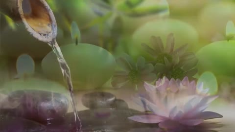 Soothing Water Music to Relax You.