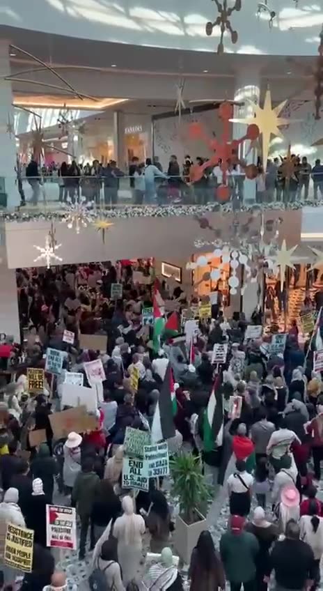 Pro-Palestine Hamas protesters took over the Westfield Mall, San Jose, California