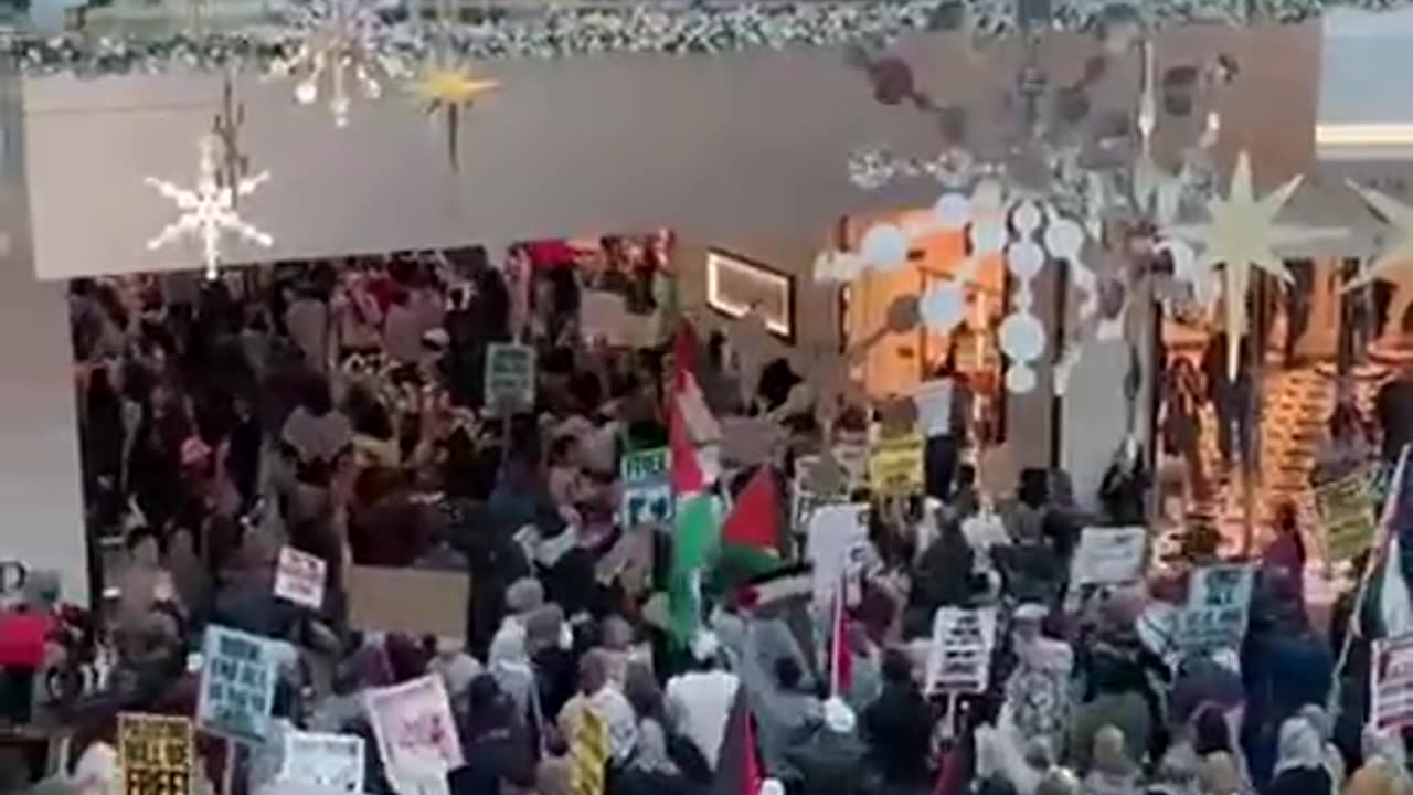 Pro-Palestine Hamas protesters took over the Westfield Mall, San Jose, California