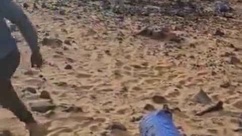 Militares rusos asesinados en Malí por separatistas tuareg