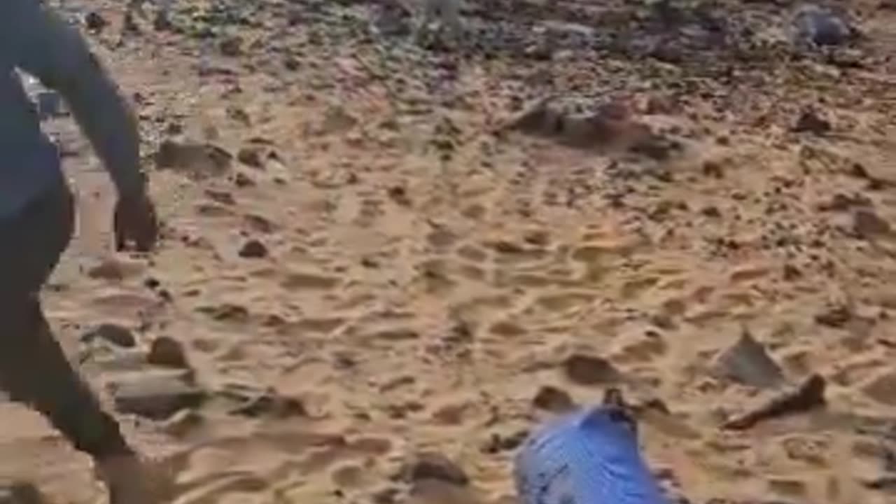 Militares rusos asesinados en Malí por separatistas tuareg