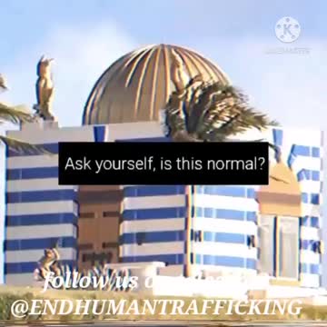 Epstein Island Red Pill