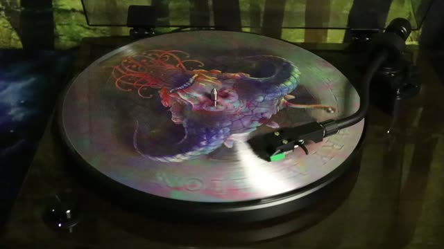 Hail Mary Mallon - Beastiary (2014) - Vinyl Rip