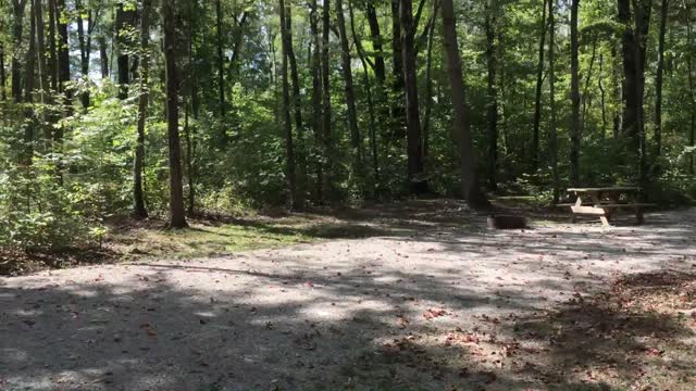 Indiana Shakamak State Park Campground Tour