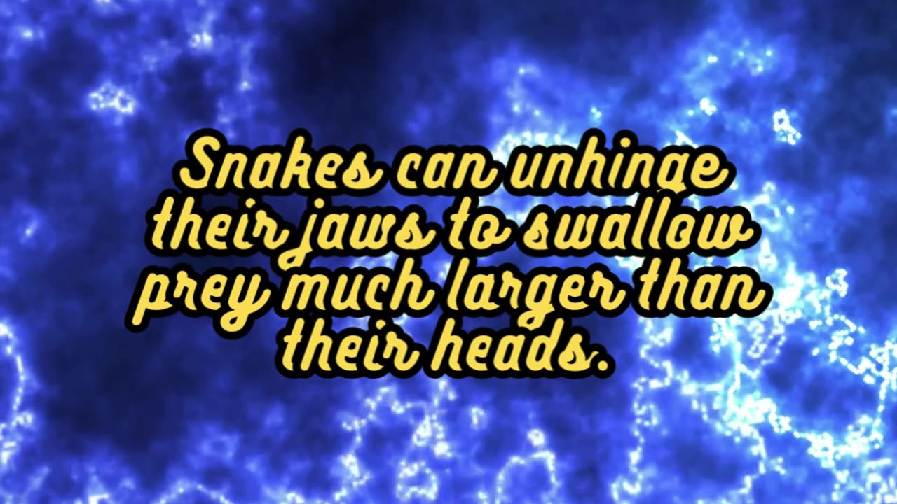 Animal Facts Snakes #shorts