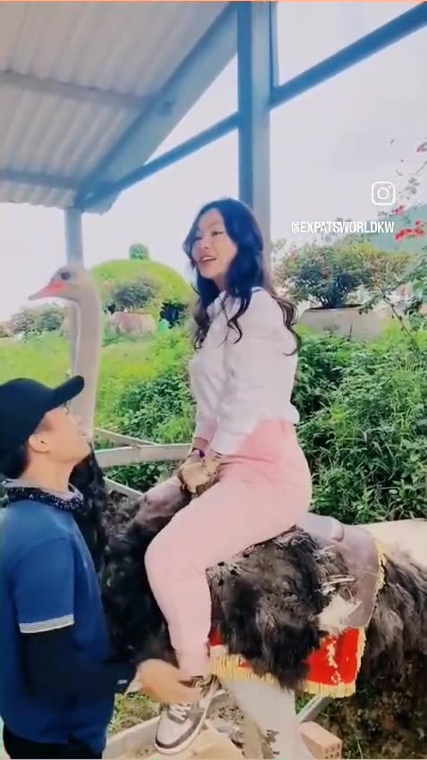 Think you know what kind of crazy ride this is? 😱🦩😉😆