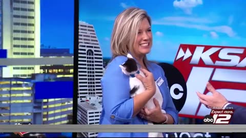 San Antonio Humane Society pet adoption candidate: Smudge