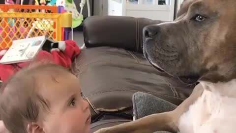 The Baby is looking at his dog in total Awe😍