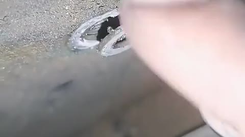 Remove the oil tank screws.