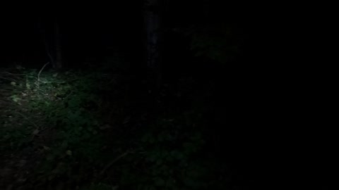 Testing the black diamond storm 400 in the woods at night