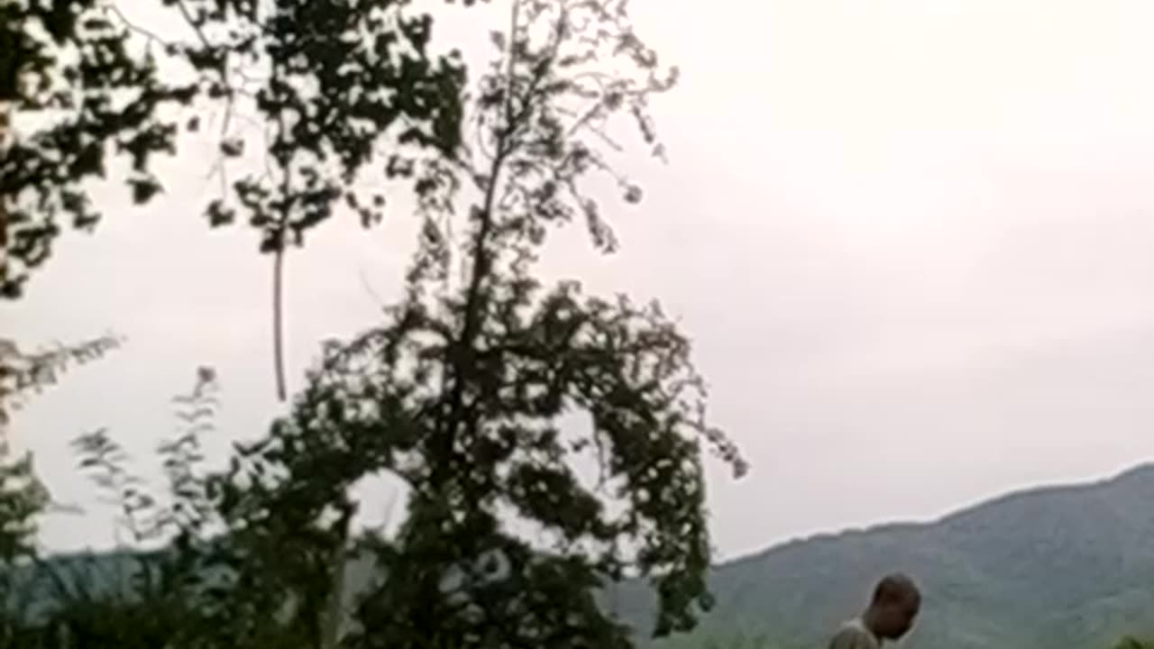 Tired Obstacle Course Removal