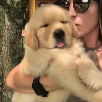 Baby and puppy besties love playing outside together #47