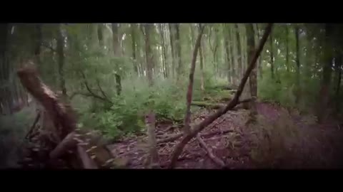 Most action video