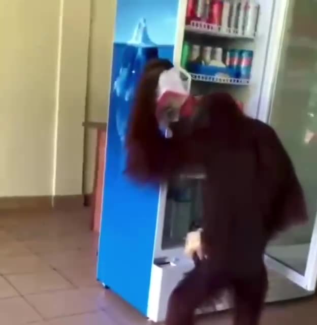 You forgot to pay sir 😂