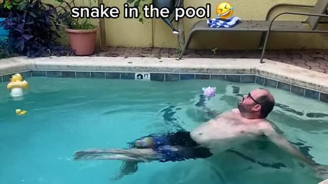 My husband living his best life right before he noticed there was a snake in the pool