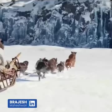 When_a_Leader_Knows_the_Way_🔥😊👊_Amazing_Example_of_a_True_Leader_#bmsir_#motivation(720p)