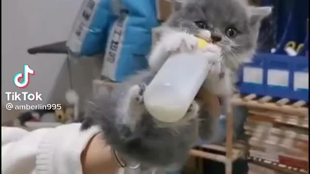 Give my bottle