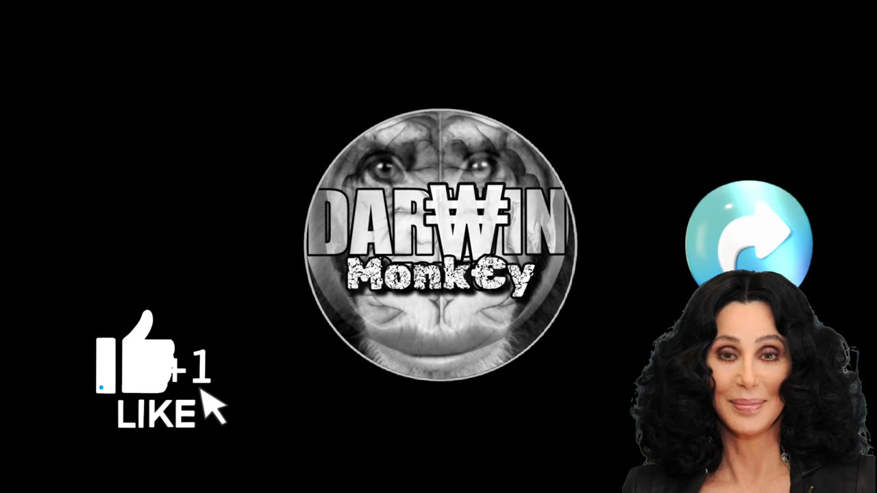 Dar₩in Monk€y 💥 News no. 3 NOUVELLES BRÈVES 📺📽🎞