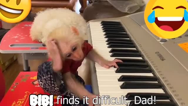 Baby Monkey feels bewildered when dad teaches piano!