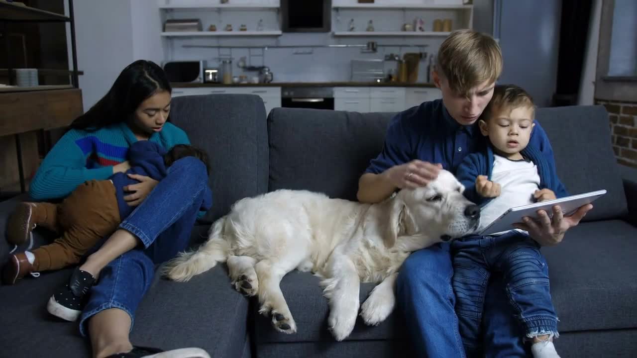 Caring parents and two lovely mixed race toddler boys with obedient labrador retriever dog